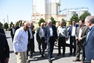 دامداری&zwnj;های صنعتی و روستایی محور افزایش تولید گوشت قرمز