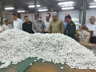 احیاء کارخانجات صنایع ابریشم موجب رونق صنعت نوغانداری در کشور بوده است