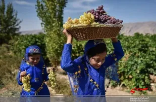 تقویت اقتصاد روستایی با گردشگری کشاورزی/کشاورزی موجب کاهش مهاجرت به شهرها می شود