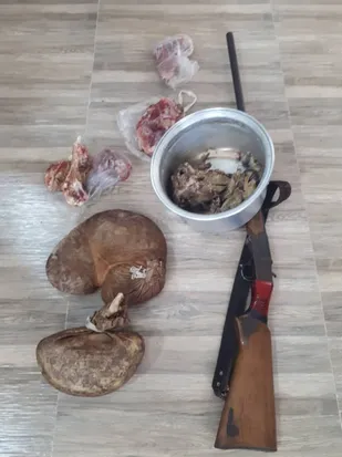 دستگیری شکارچی متخلف توسط یگان حفاظت محیط زیست شاهرود در آزادشهر