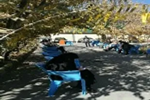 برگزاری مجمع جهادی در بسیج دانشجویی سیستان و بلوچستان
