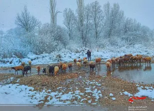 طبیعت زمستانی روستای درو