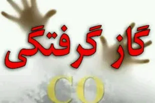 مسمومیت با گاز مونوکسید کربن ۶ مصدوم برجای گذاشت