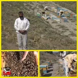 شهد عسل با چاشنی کمک به جوانان