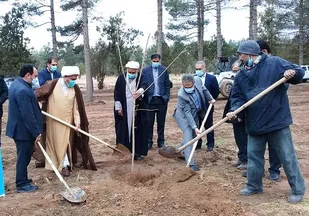 پارک جنگلی تربت جام باغرس ۶۳۱ اصله نهال یادبود شهدا احیاشد