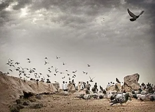 طراحی بقاع متبرکه ائمه بقیع (ع) فردا فراخوان می شود