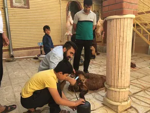 قربانی به مناسبت عید غدیر در ثلاث باباجانی