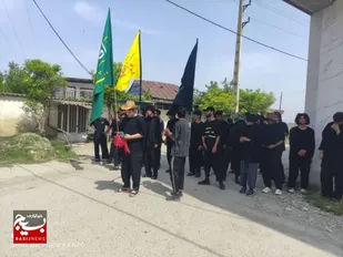 استقبال از زائرین پیاده امام رضاعلیه السلام در روستای درزکلا بزرگ بابل
