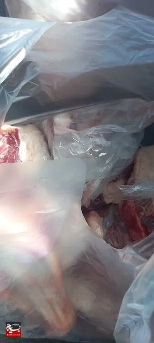 ذبح یک رأس گوسفند و توزیع بین نیازمندان