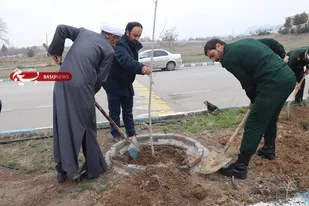 کاشت بیش از دویست نهال درخت در لشکر پنج نصر مشهد