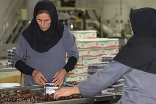 4200 شغل از سوی بنیاد برکت در سرزمین نخل و دریا ایجاد می شود
