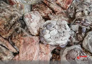 کشف و معدوم سازی نه تن همبرگر فاسد و غیر بهداشتی از یک شر&zwnj;کت تولیدی همبرگر