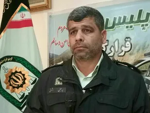 درختان نقش مهمی درکاهش سوانح رانندگی دارند
