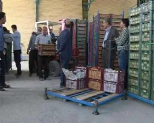 بازدید کارکنان سپاه شاهرود از سردخانه سلام