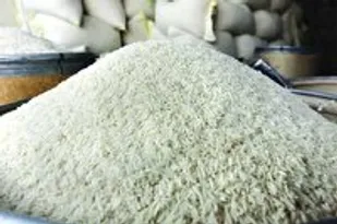 کاهش ۴ درصدی تعرفه واردات برنج