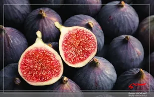 پیــــش بینی برداشــــت صد تن انــــجیر در خلــــخال