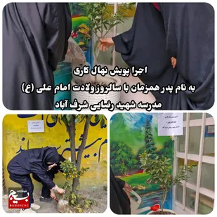 پویش درختکاری در شهرستان ساری