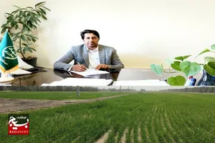 کشت ۷۰۰ هکتار گندم و جو پاییزه در شهرستان گلشن