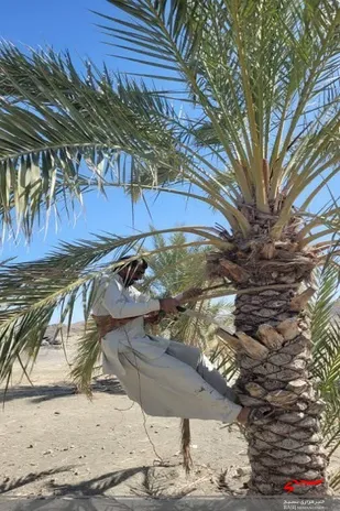 برگزاری اردوی جهادی در روستای ریش پیش بخش مرزی بم پشت سراوان