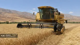 خوزستان؛ قلب تپنده امنیت غذایی ایران با سهم ۱۵ درصدی در تولید کشاورزی کشور
