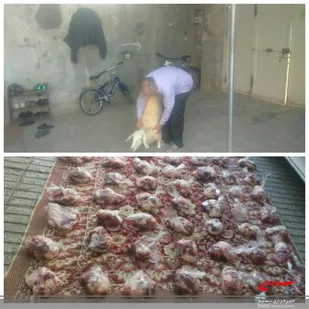 پخش مواد غذایی بین نیازمندان شهر اسفراین در راستای رزمایش کمک های مومنانه