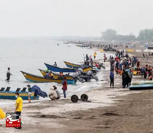 تجلیل از گروه های جهادی برتر در امر تفرجگاه ها و سواحل