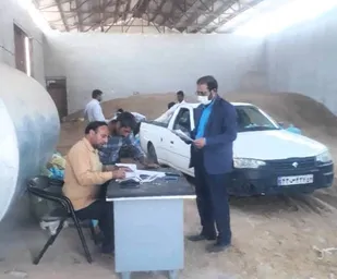 توزیع بیش از ۳۵۰ تن جو ویژه خشکسالی با کمک ناحیه مقاومت بسیج در بجستان
