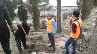 کاشت درخت با حضور ورزشکاران در شاهرود