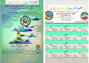 افتخار آفرینی بانوان بسیجی خراسان رضوی در مسابقات ووشو مجازی کشور
