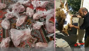 توزیع 40 بسته گوشت قرمز توسط پایگاه مقاومت بسیج خواهران نرجس روستای گریوان