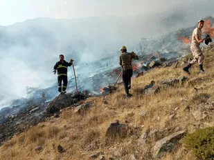 آتش سوزی منابع طبیعی طارم مهار شد