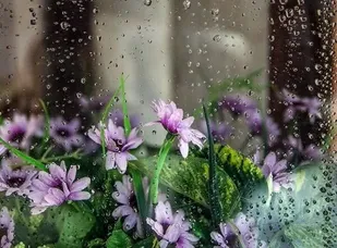 جو استان کردستان آرام و پایدار می&zwnj;شود