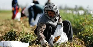 اجرای طرح &laquo;یاریگران زندگی روستا&raquo; در استان ایلام