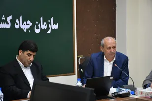 ۹۳۰ هزار هکتار از اراضی استان آذربایجان شرقی زیر کشت محصولات کشاورزی می&zwnj;رود