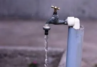 کوهسرخی&zwnj;ها آب آلوده به آرسنیک می&zwnj;نوشند؟
