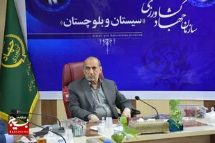 تولید بیش از ۱۰ هزار تن گوشت مرغ در واحدهای مرغداری سیستان و بلوچستان