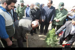درختکاری در جاده سلامت شهرستان ملایر