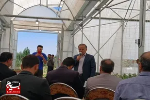 فعالیت ۱۱ گلخانه در شهرستان بهار