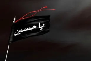 قیام عاشورا جدال خانوادگی و کسب مسند بود؟