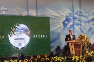 جشنواره زیتون، جشنواره زندگی و تلاش مردم طارم است