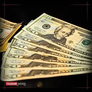 حذف مشروط ارز ترجیحی در لایحه بودجه