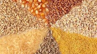 کشف ۵۸ تن انواع نهاده دامی احتکار شده در آذرشهر