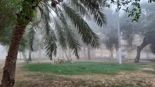 شرجی و رطوبت مهمان روز&zwnj;های پاییزی خوزستان