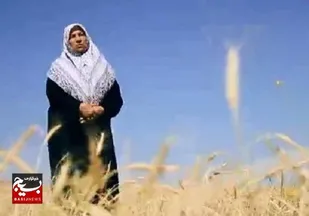 مثبت سوژه/ عرصه محوری؛
معلمی بازنشسته که گندم می کارد