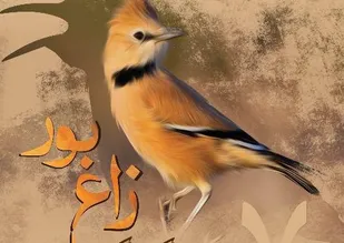 گشایش دفتر محیط زیست و توسعه پایدار در حوزه ورزش شهرستان شاهرود
