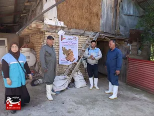 برگزاری رزمایش جهادی تخصصی بسیج جامعه کشاورزی در روستای سقندیکلا ساری