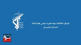 فیلم| دستگیری یکی از افراد حاضر در صحنه اغتشاشات تهران در اردبیل