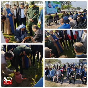کاشت چند اصله درخت در شهرستان کارون