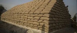 کشف ۲۴ تن گندم قاچاق در هرمزگان