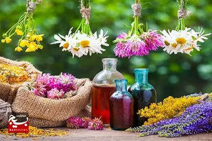 تنوع گیاهان خوزستان فرصتی برای تولید انواع محصولات دارویی